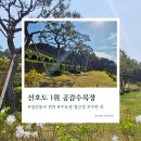 부천목장 | 직접가서 확인해본 일산공감수목장 핵심은?