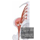 백세마취통증의학과의원 이미지