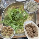 자미소 | 대전 서구 맛집 점심 ‘자미칼국수만두’ 도안점 수육 솔직후기