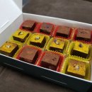 세실리아스 이미지