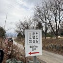 강원도 춘천 별빛 캠핑장 S3 사이트 후기/ 서울 근교 춘천 캠핑장 추천/ 춘천 자유빵집/ 금옥거두리점...