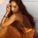 여우야늑대야 이미지