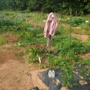 동신농장 이미지