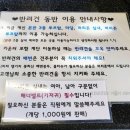퍼피존애견