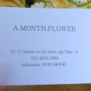 어먼스 플라워(a.month.flower)