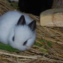 대구농장 이미지