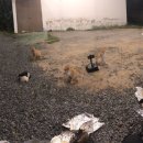 어라운드빌리지 이미지