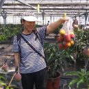 문영식 농장 이미지