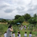 야동농장 이미지