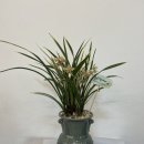 이문초교 이미지