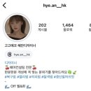 홍대 가성비 미용실 추천 고고에코 클리닉 후기