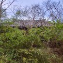 1870 | 고경면 학리 - 밀양손씨, 손봉석의 동오정(東塢亭)1870