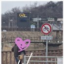 영자까페