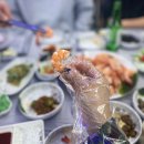완도수산회