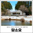 씨유 서귀신례점 | 제주도 서귀포 카페 추천, 제주 예쁜카페 담소요