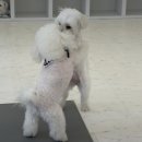 몽린이집
