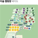 더숲캠핑장 | 깊은 산속 조용한 오토 캠핑장｜춘천 더숲캠핑장｜후기
