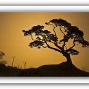 꽃지가는길 이미지