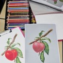 [직장인]식물세밀화 색연필 보타니컬아트(수)19:00 | 가족관 강좌 자격과정세밀화 보테니컬쉽게 따라 하기색연필보테니컬 대구보테니컬 평생교육프로그램강좌...