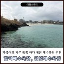 하수해수욕장 동쪽주차장 | 가족여행 제주 동쪽 바다 예쁜 해수욕장 추천