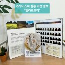 상송헤어
