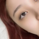 다르수