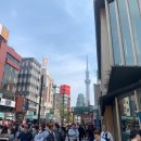 양천구 지역명소 탐방코스 5 | 도쿄 가족 여행 - 단독 투어 코스 일정 | 공항 픽업 | 4월 5월 날씨, 옷차림 | 후기