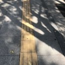 블리비의원 이미지