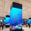 카랜드모터스 이미지