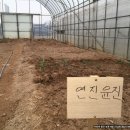 연진농장 이미지