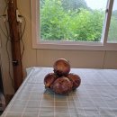 동남펜션 이미지