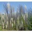 물빛펜션 이미지