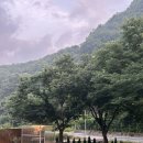 스테이 소유 이미지