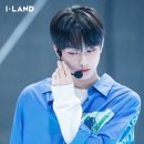 꼬마정원 이미지