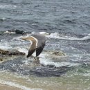 칠보산휴게소 이미지