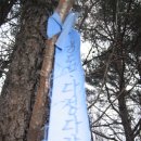 거창-고제-17 | 2차 대간(7) : 중치~백운산~육십령