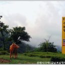 금남호남정맥2구간 (수분령-신광재) 이미지