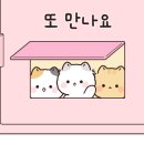 허니룸케어프리미엄 이미지
