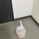 털보과일
