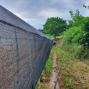 그늘막55 이미지