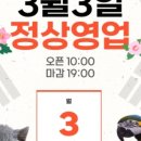 애니멀클럽 이미지