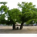 은진초등 이미지