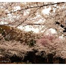 군산월명체육관 이미지