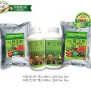 (주)엘비씨 네이버블로그
