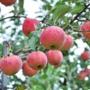 옥정농장 이미지