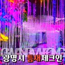 광명청소년예술단 정기공연 | 광명동굴 입장료 볼거리 할인 주차 후기