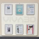 범안로 | 신생아 단두, 사두 치료 - 비바헬맷 리뷰