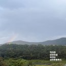 사천애특산물 | [후기]부울경 로컬페스타 현대프리미엄아울렛에서 빛난 감성 꽃차 브랜드 삼천포블루스