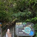 칠순 기념 제주도 가족 여행 겸 오름 투어/6박7일,2일차(2026.5.15.금) 이미지