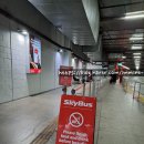 써던크로스 이미지